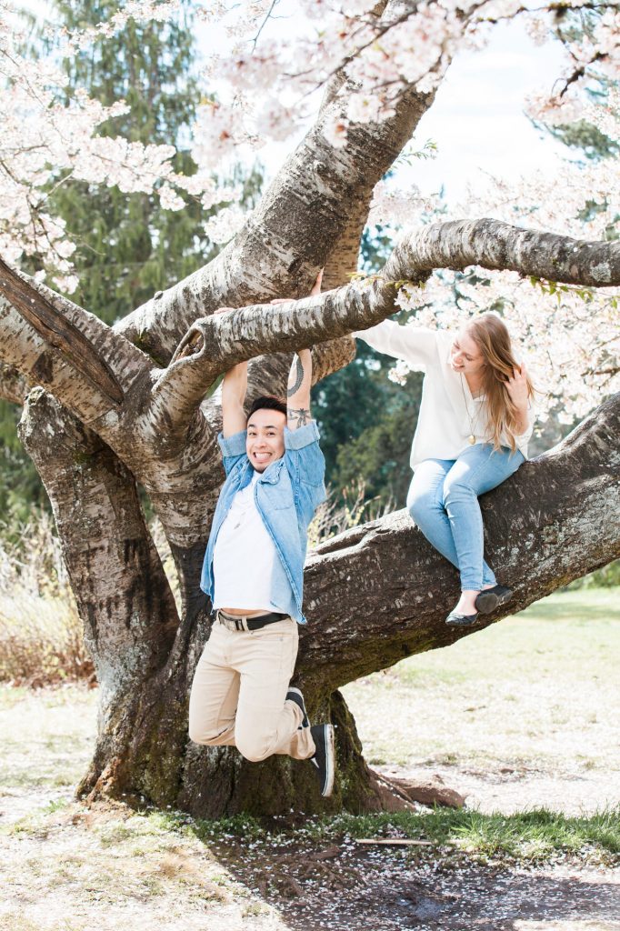 Couple hanging on a cherry blossom tree during their spring engagement session